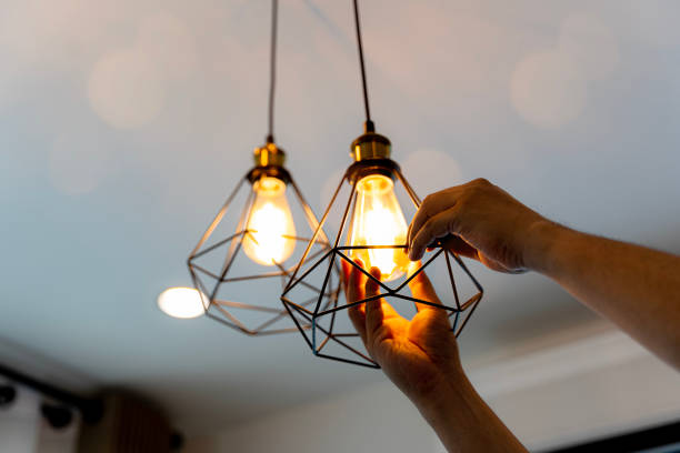 Best Electrical Repair Services  in Shawneeland, VA